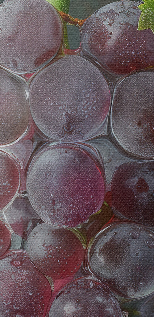Bunch of grapes with water droplets on top