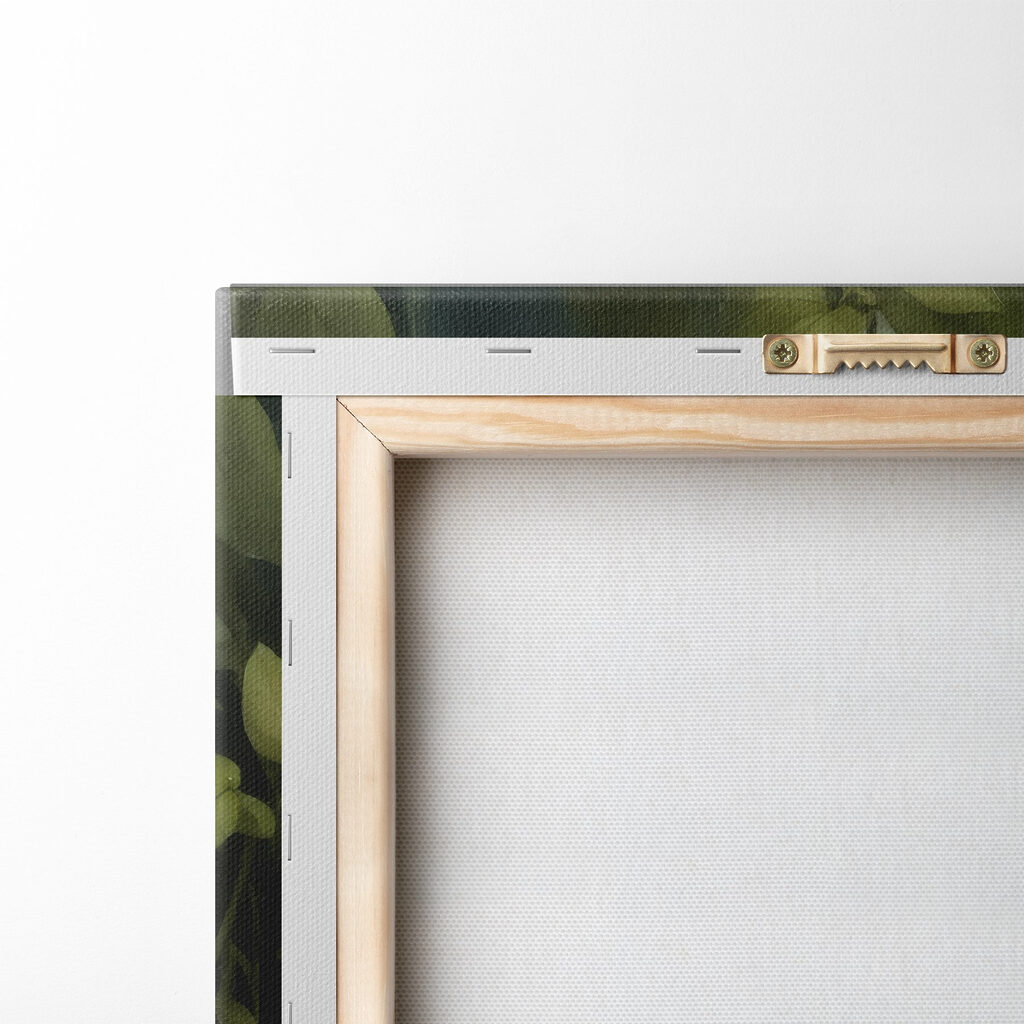 Rabbit in the bushes Rabbit in the bushes