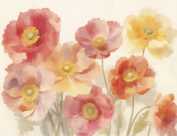 Groep bloemen op witte achtergrond Groep bloemen op witte achtergrond