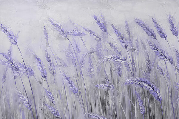 Zachte tinten van natuur’s elegantie Zachte tinten van natuur’s elegantie