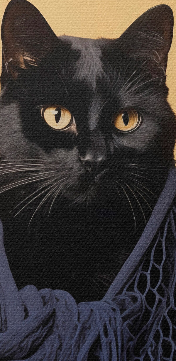 Kat met net Kat met net