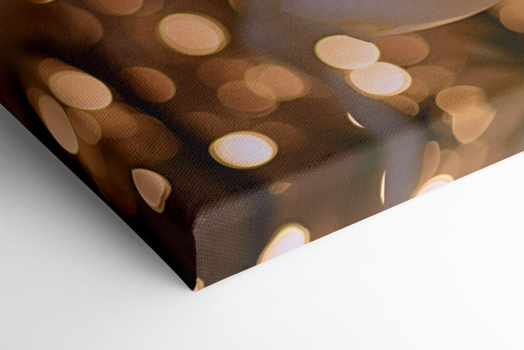 Delicate petals in soft hues Delicate petals in soft hues