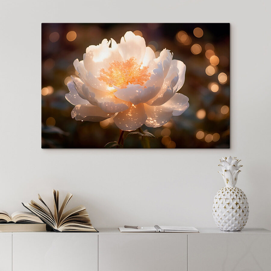 Witte bloem met geel hart