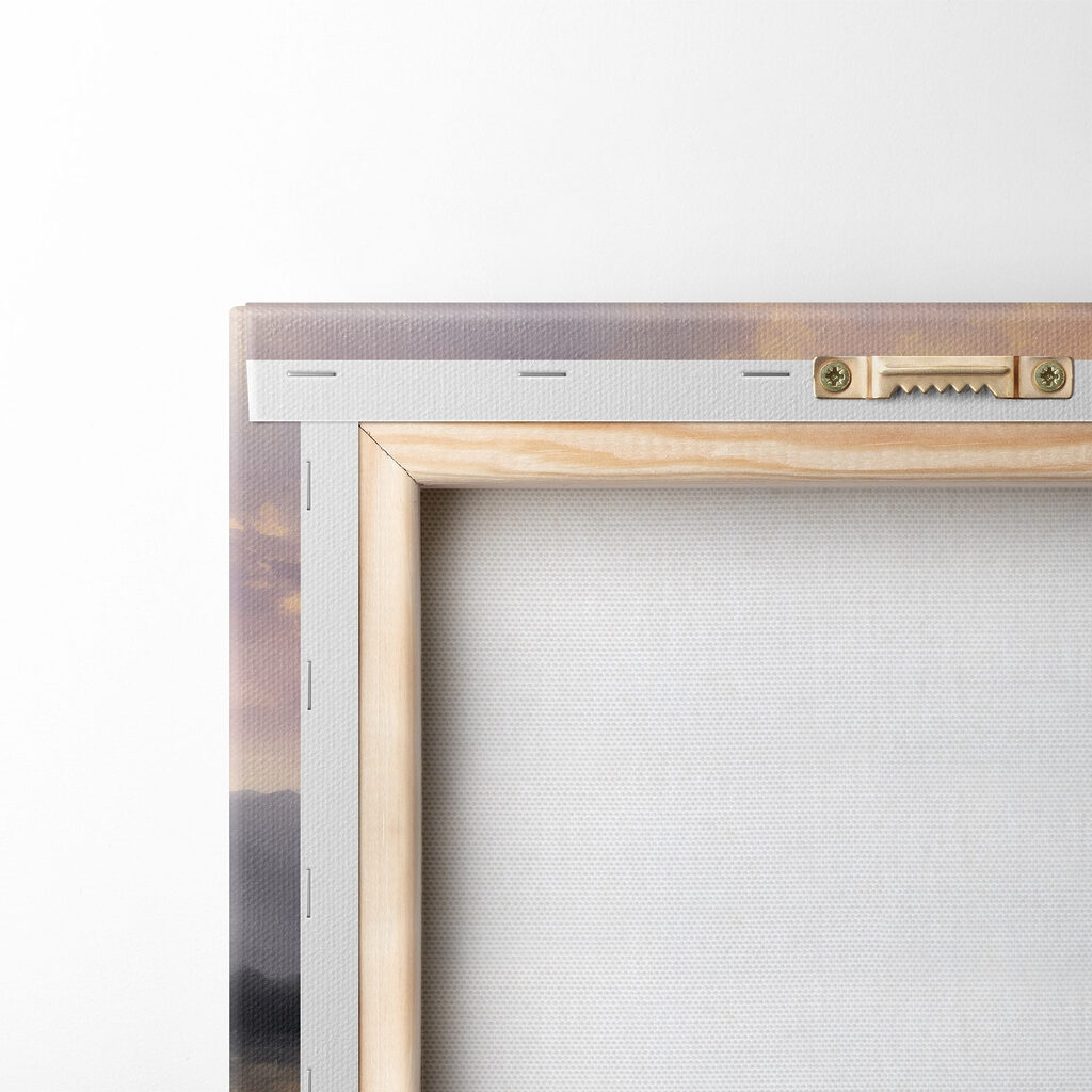 Field of flowers with mountains in the background Field of flowers with mountains in the background