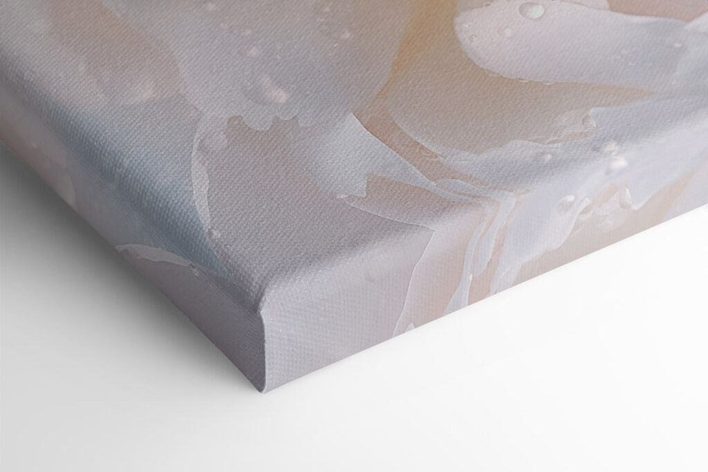 Delicate petals with glistening droplets