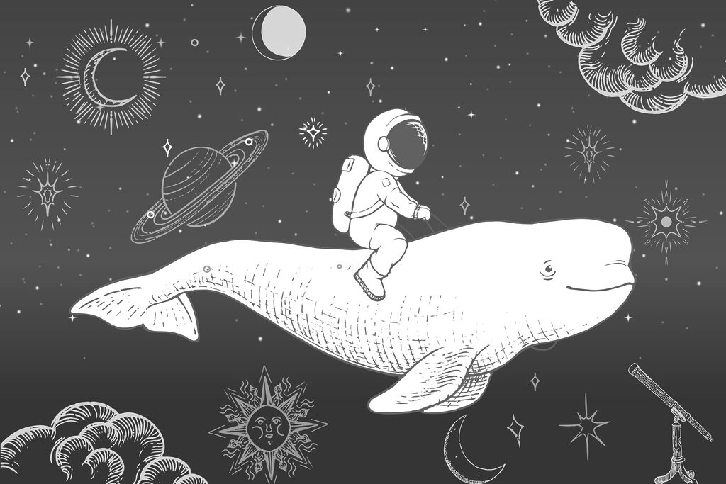 Tekening van een persoon die op een walvis rijdt Tekening van een persoon die op een walvis rijdt