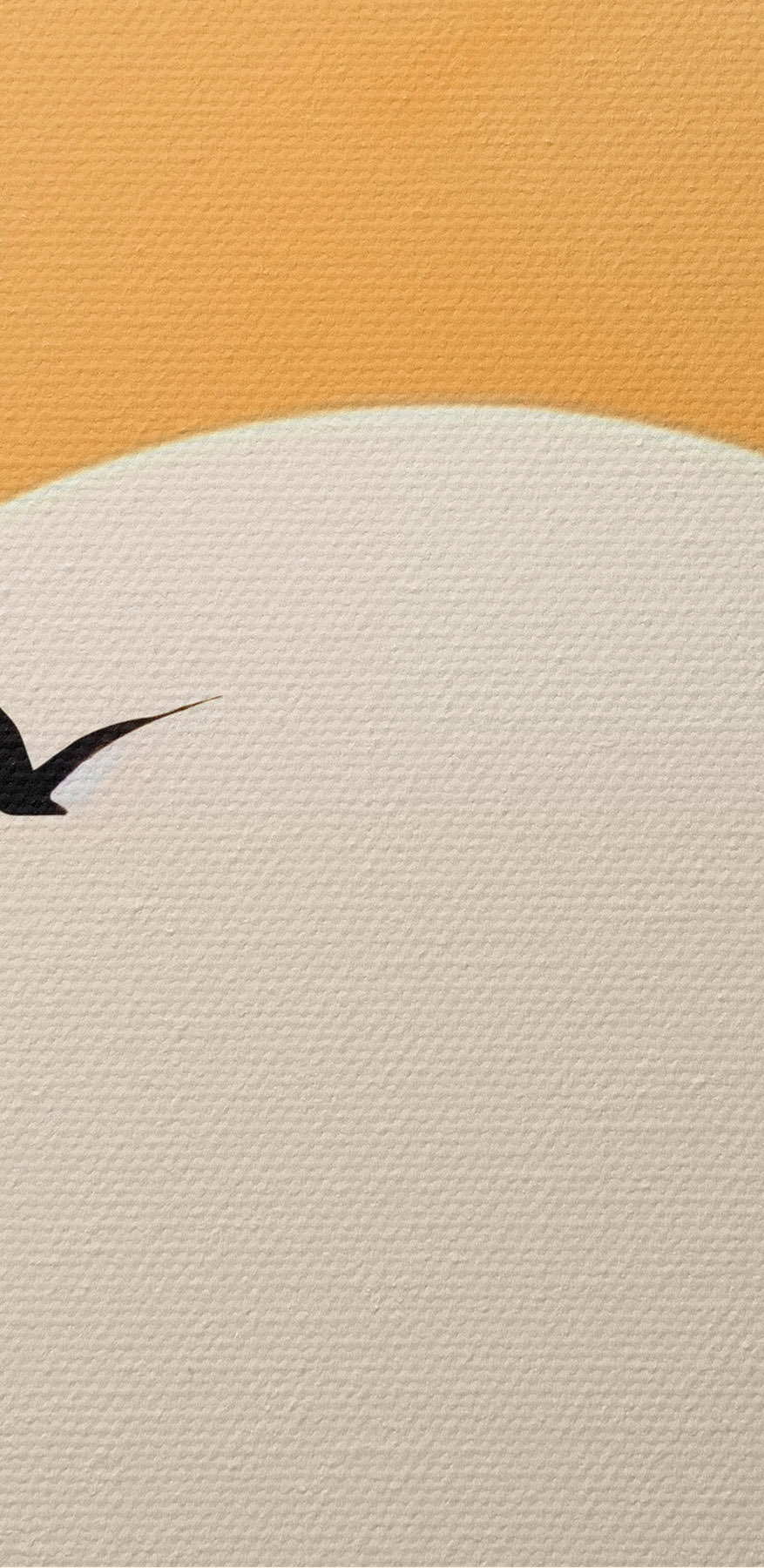 Vliegende vogel in de lucht