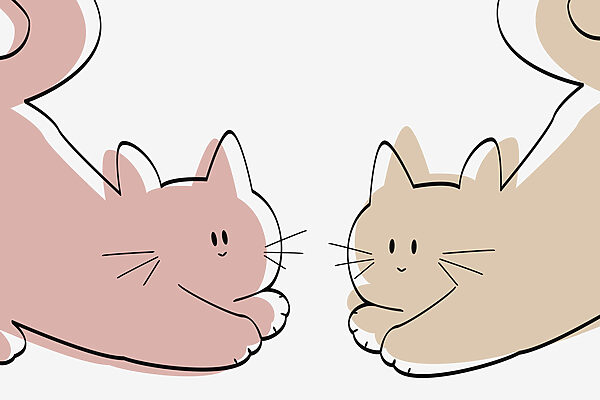 Paar liggende katten Paar liggende katten