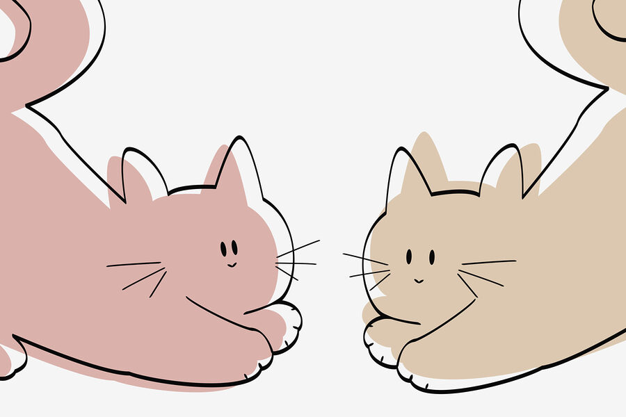 Paar liggende katten