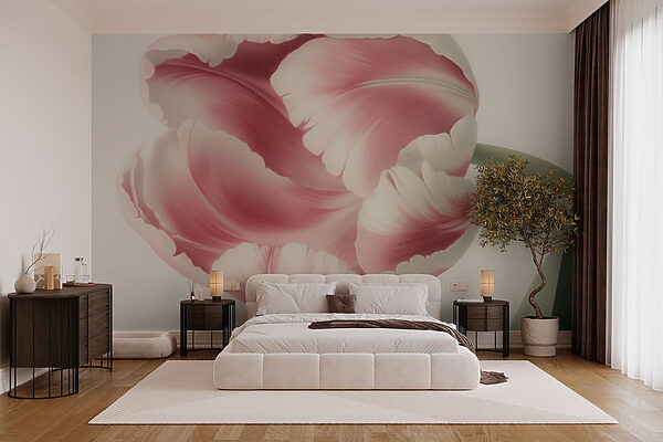 Gevoelige roze tulp in bloei w03638pib1r 600x400 - Gevoelige roze tulp in bloei