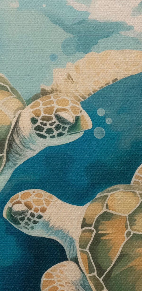 Paar schildpadden zwemmend in water Paar schildpadden zwemmend in water