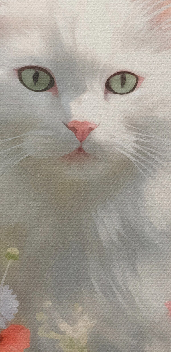 Witte kat in een bloemenveld Witte kat in een bloemenveld