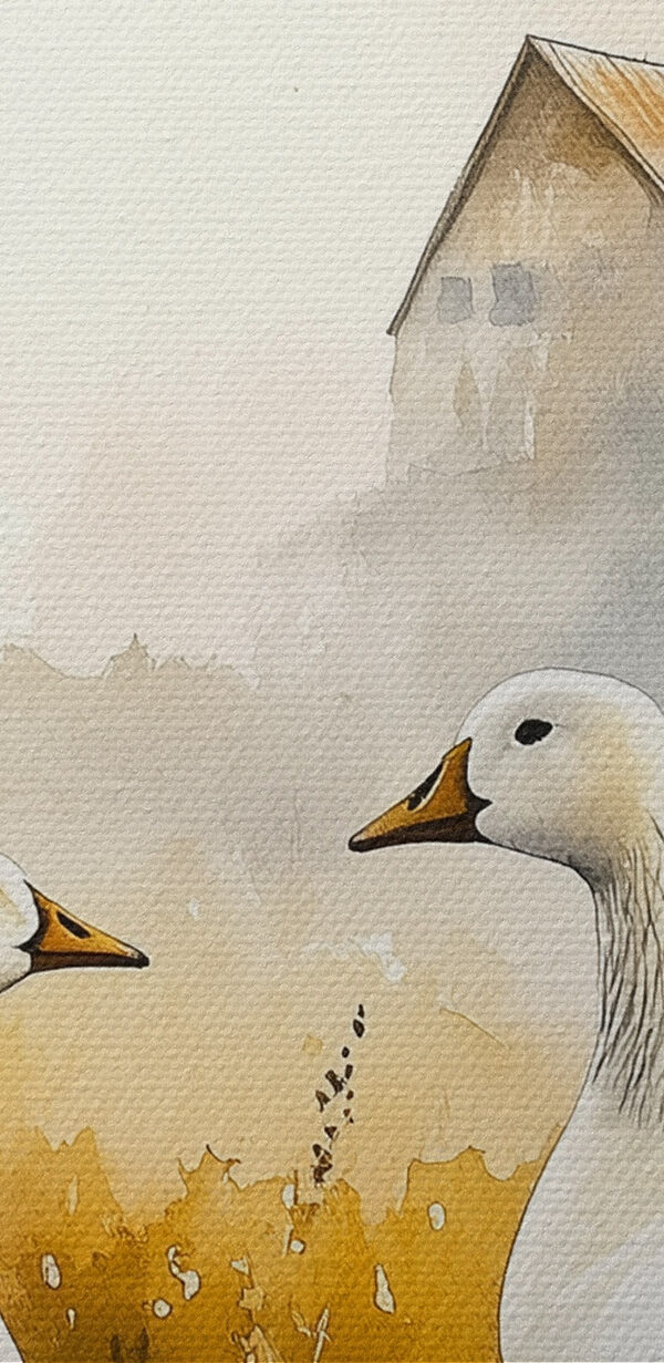 Aquarel van twee ganzen in een veld Aquarel van twee ganzen in een veld