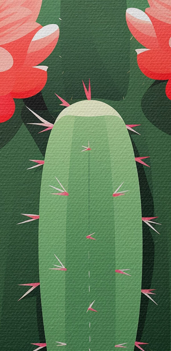 Cactus met roze bloemen Cactus met roze bloemen