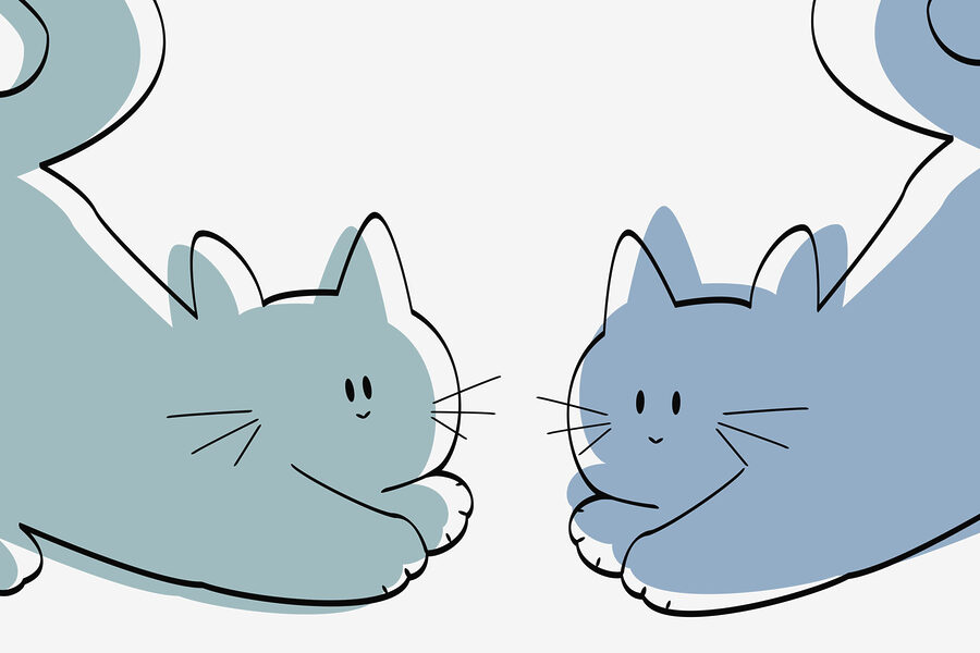 Paar liggende katten Paar liggende katten