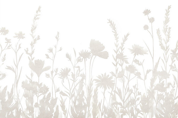 Witte achtergrond met bloemen Witte achtergrond met bloemen