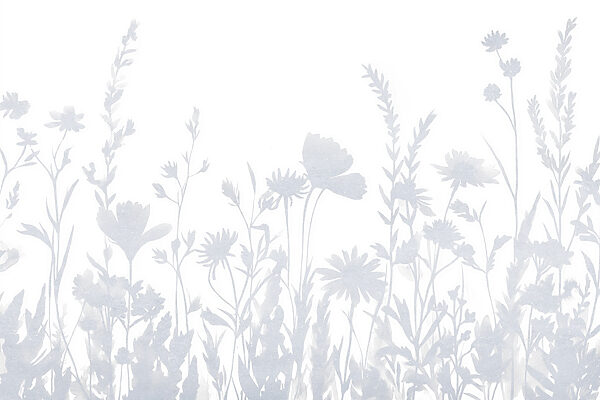Witte bloem silhouetten Witte bloem silhouetten
