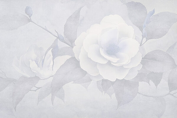 Witte bloem met bladeren Witte bloem met bladeren