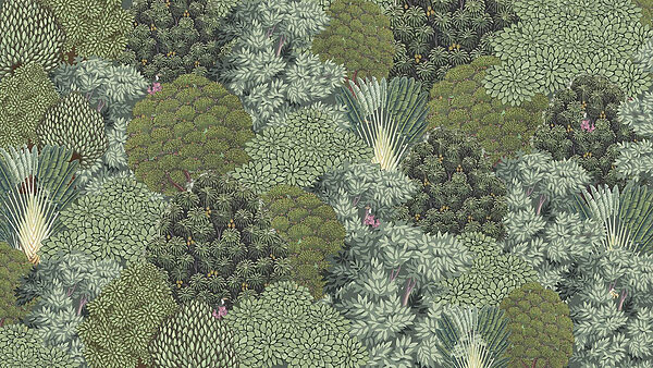 Grote groep bomen Grote groep bomen