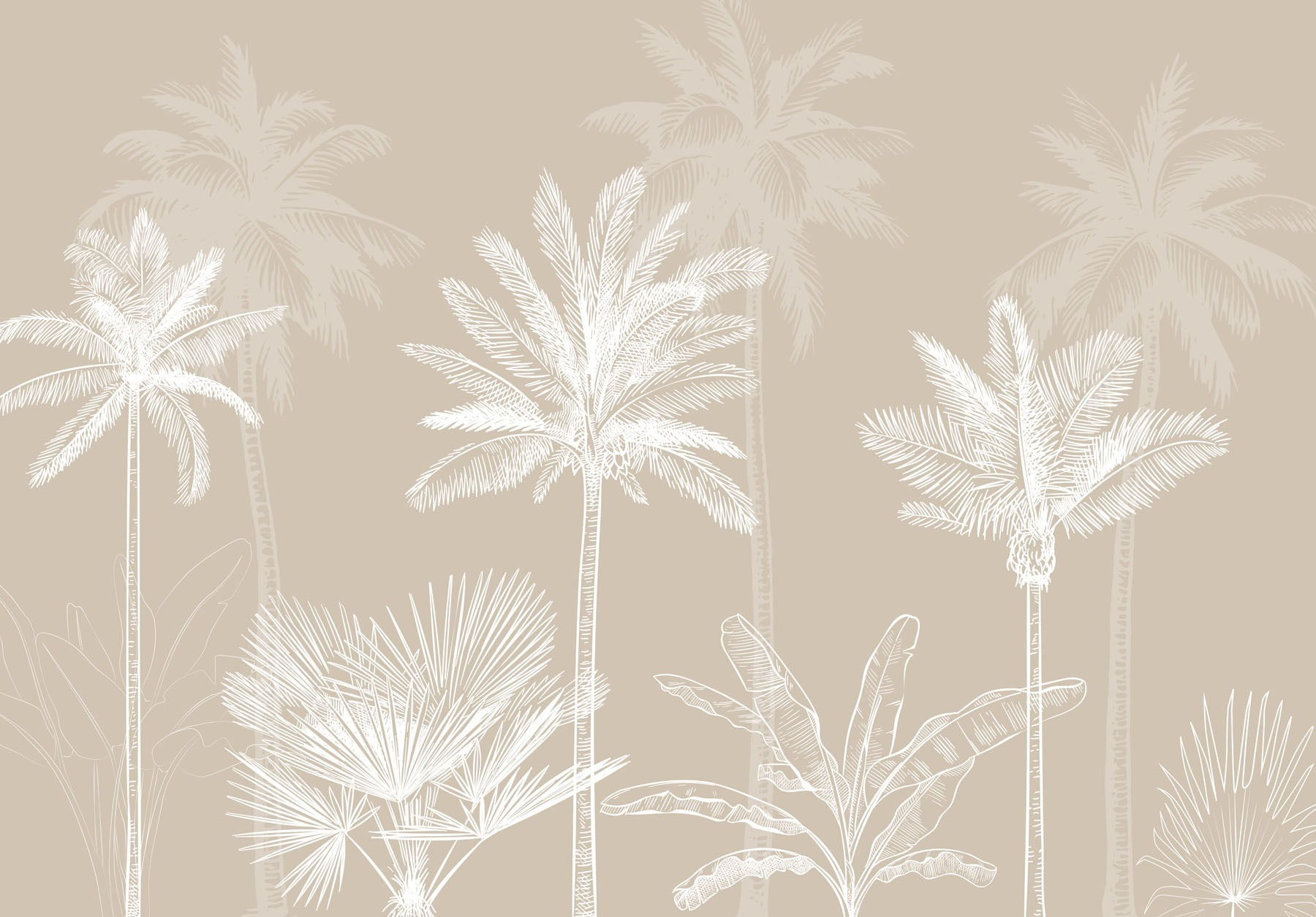 Group of palm trees