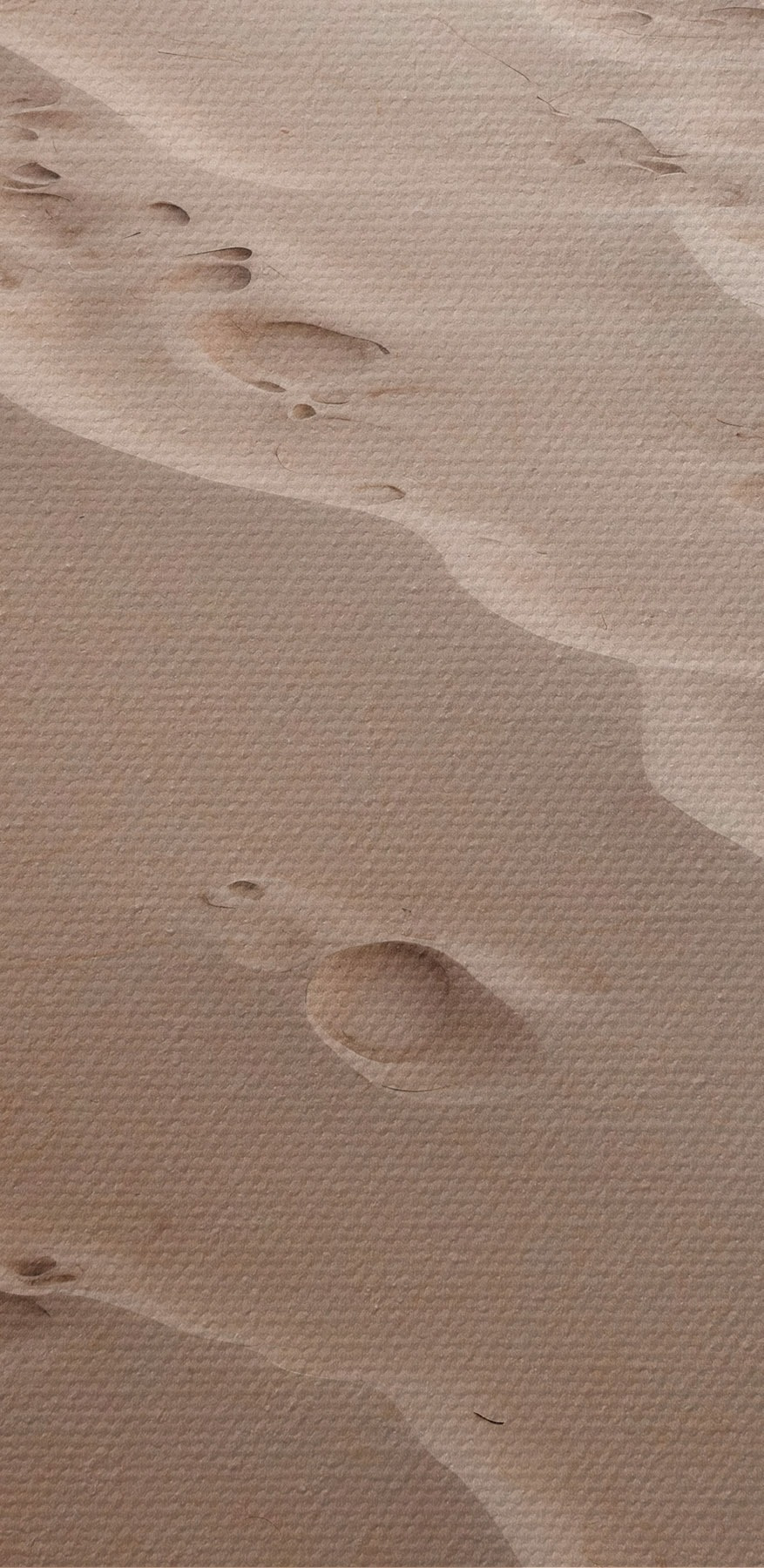Voetafdrukken in het zand