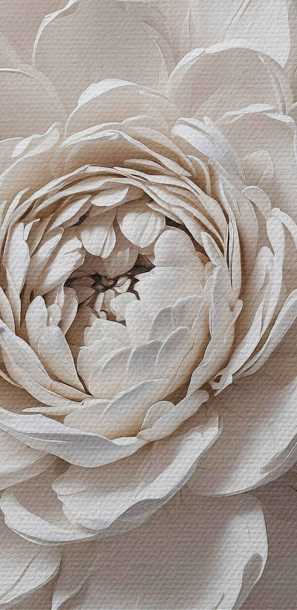 Witte bloem met bladeren Witte bloem met bladeren