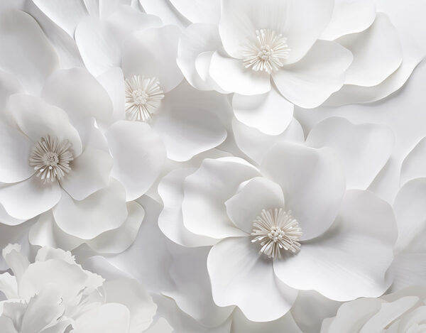 Groep witte bloemen Groep witte bloemen