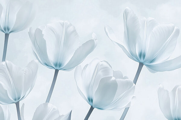 Groep witte bloemen Groep witte bloemen