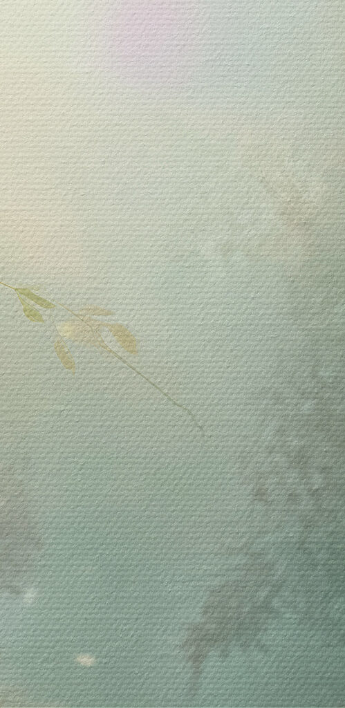 Butterfly and flowers in a forest Butterfly and flowers in a forest