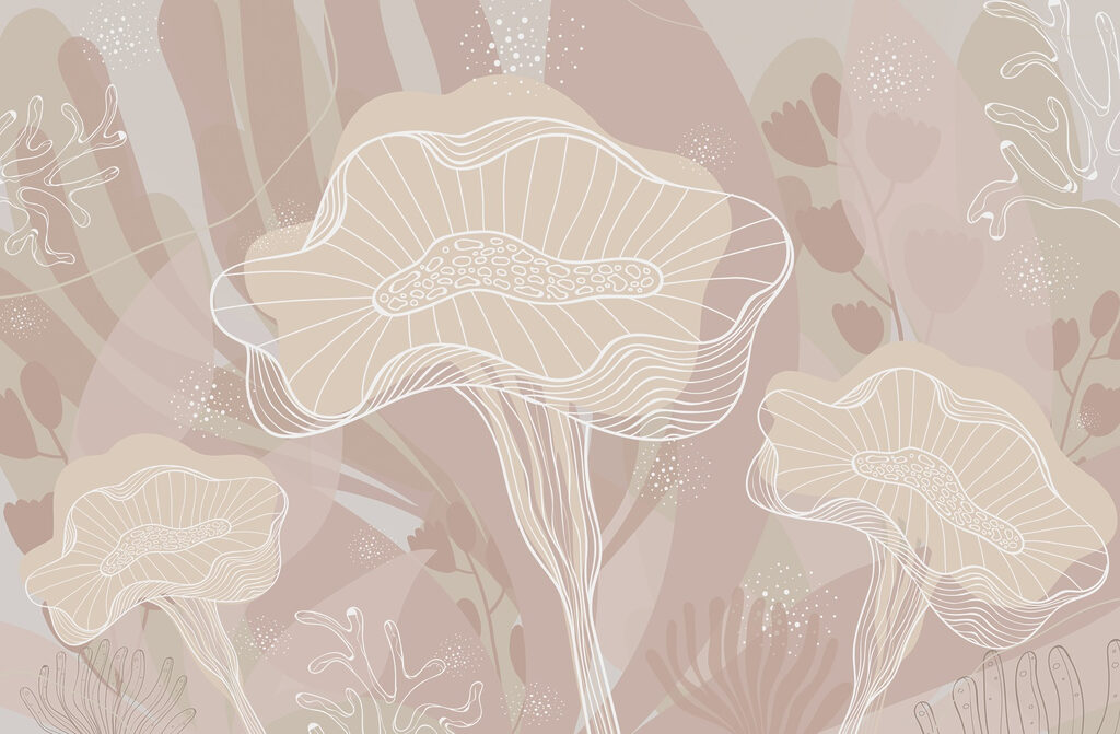 Witte omtrek van champignons Witte omtrek van champignons