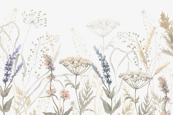 Aquarel van bloemen en planten Aquarel van bloemen en planten