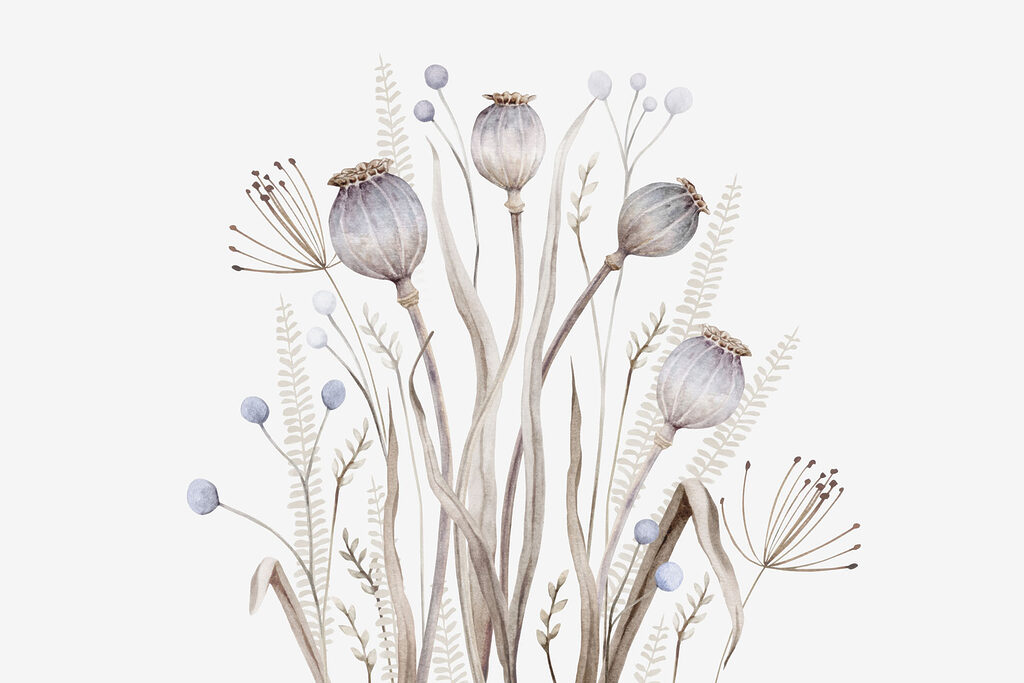 Aquarel van bloemen en planten Aquarel van bloemen en planten