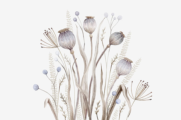 Aquarel van bloemen en planten Aquarel van bloemen en planten