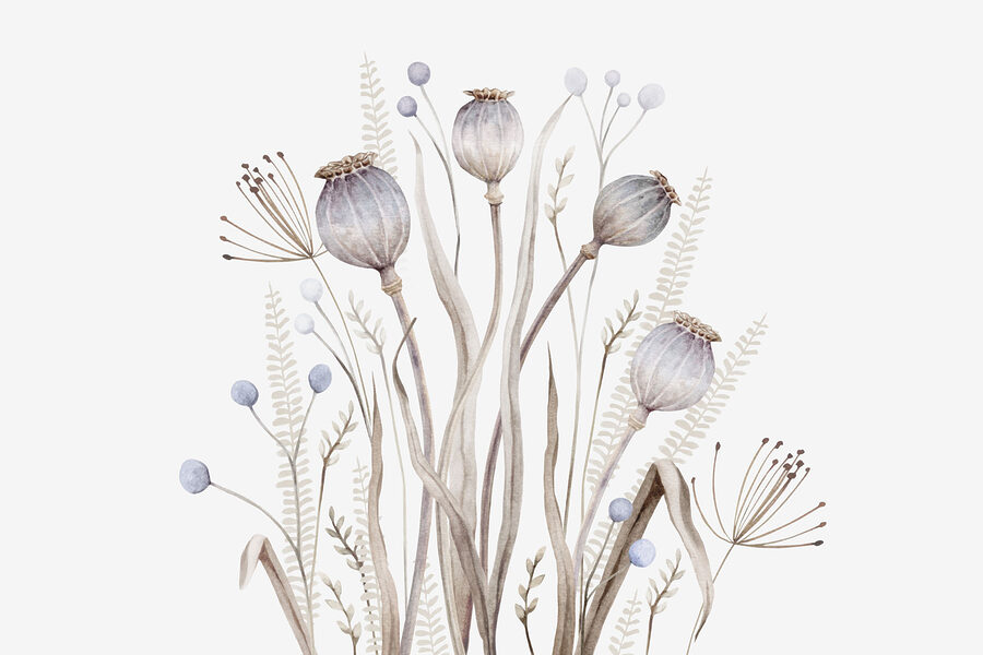 Aquarel van bloemen en planten Aquarel van bloemen en planten