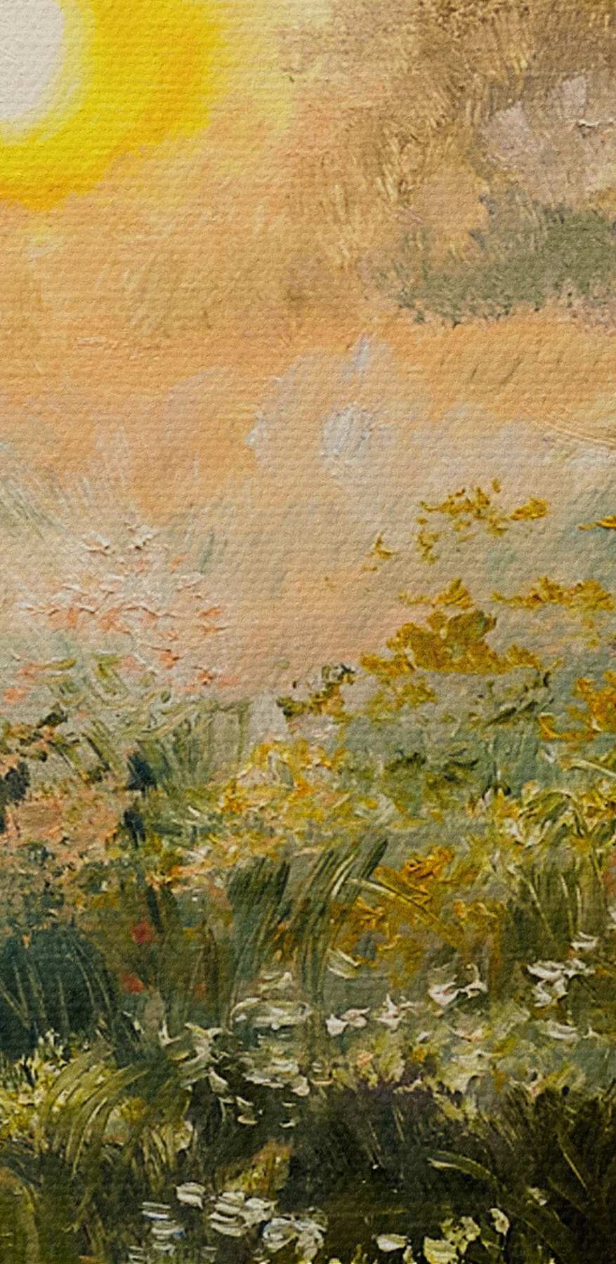 Schilderij van een bloemenveld Schilderij van een bloemenveld