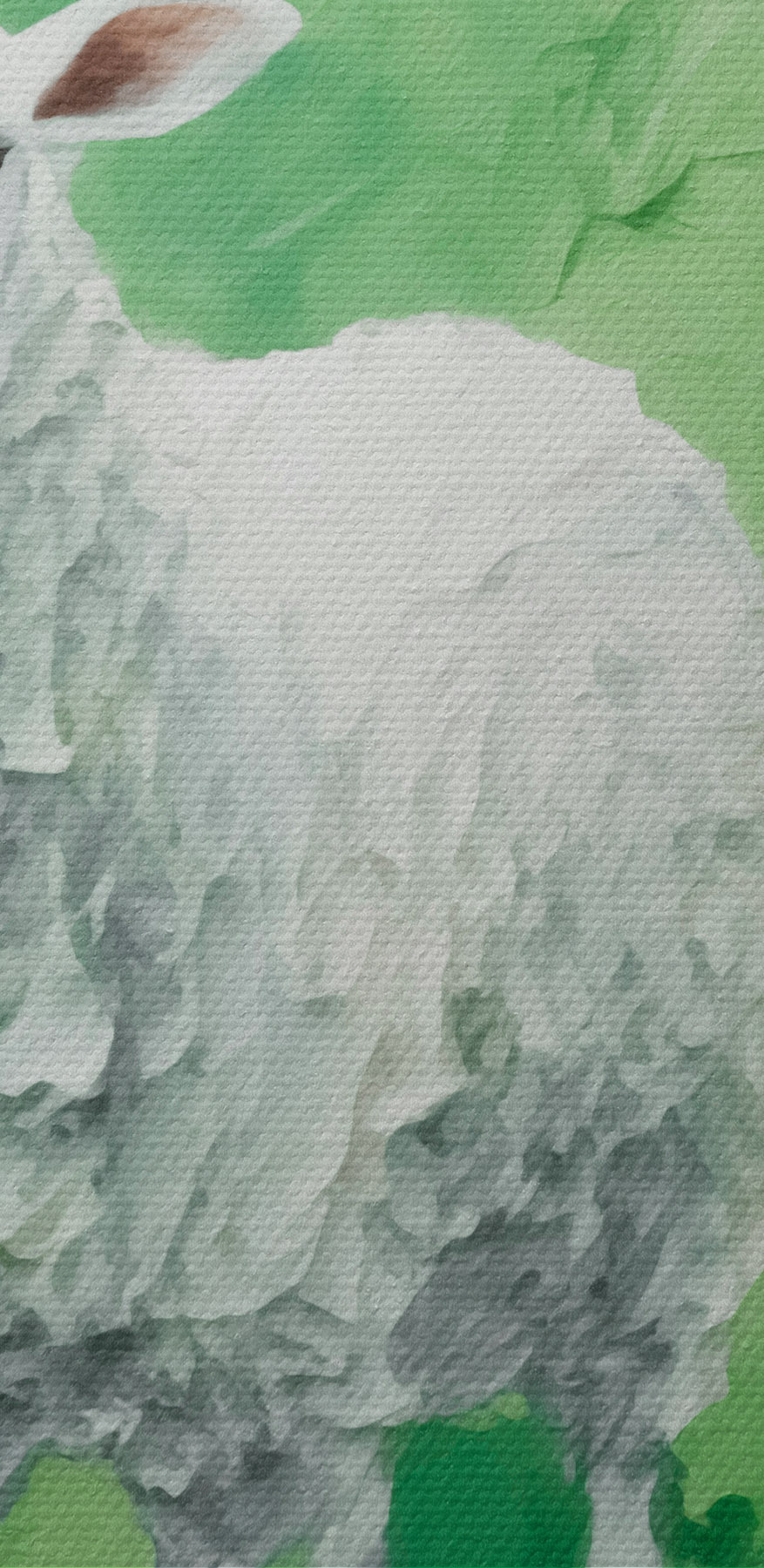 Schilderij van een schaap Schilderij van een schaap