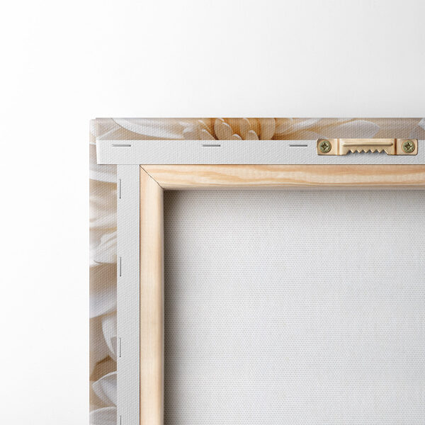 Group of white flowers