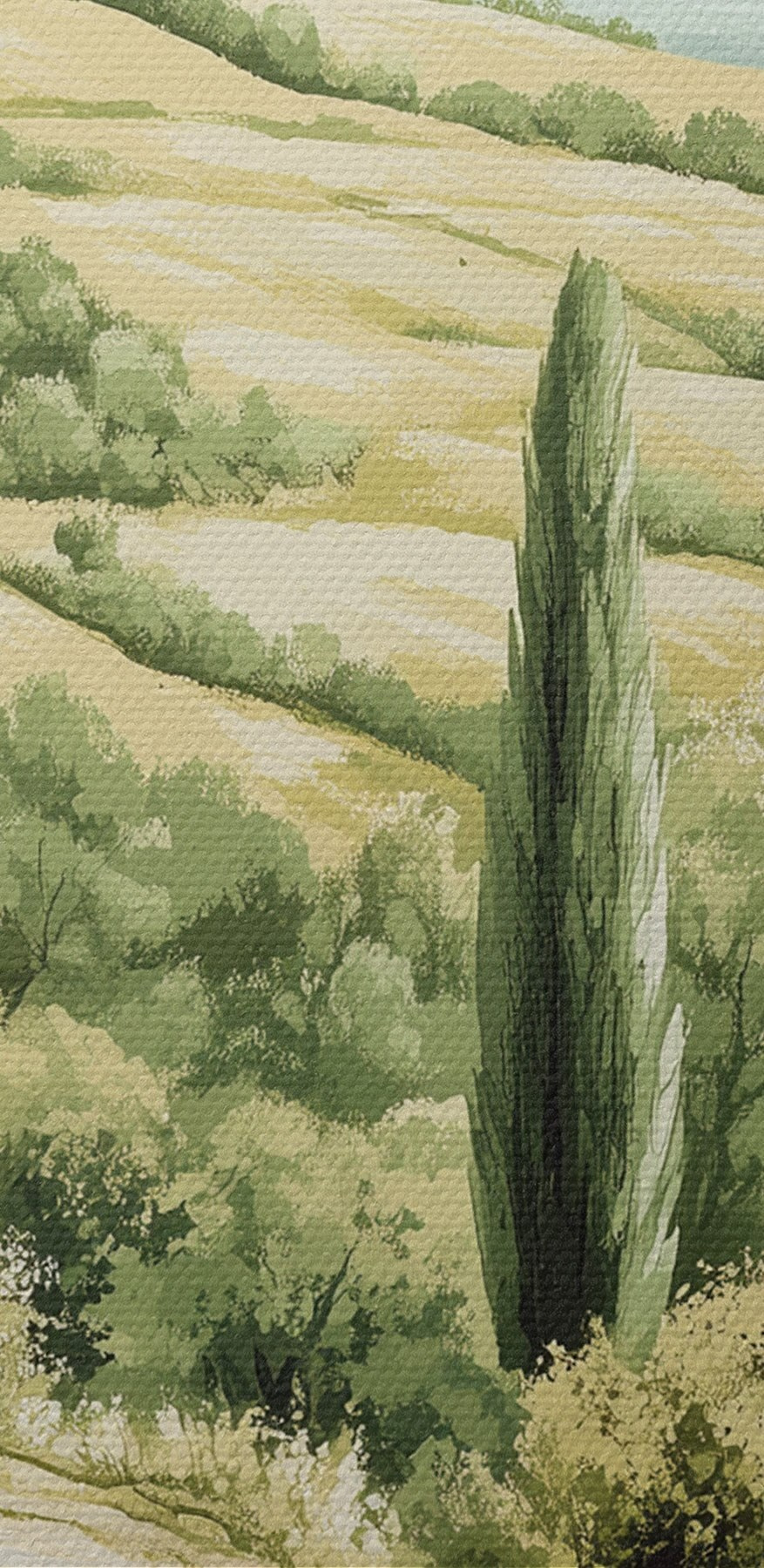 Landschap met bomen en heuvels