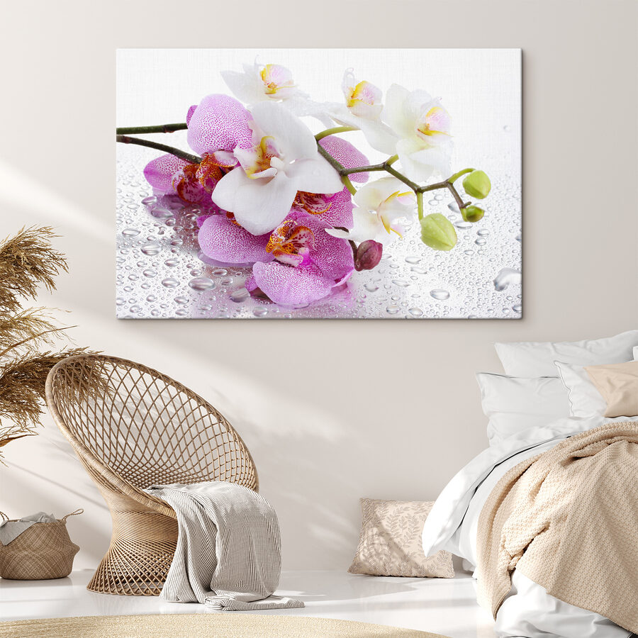 Een close-up van bloemen