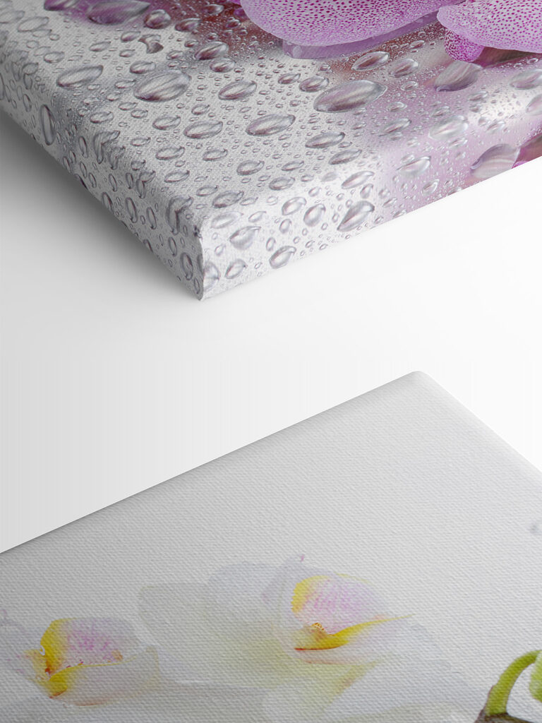 A close up of flowers