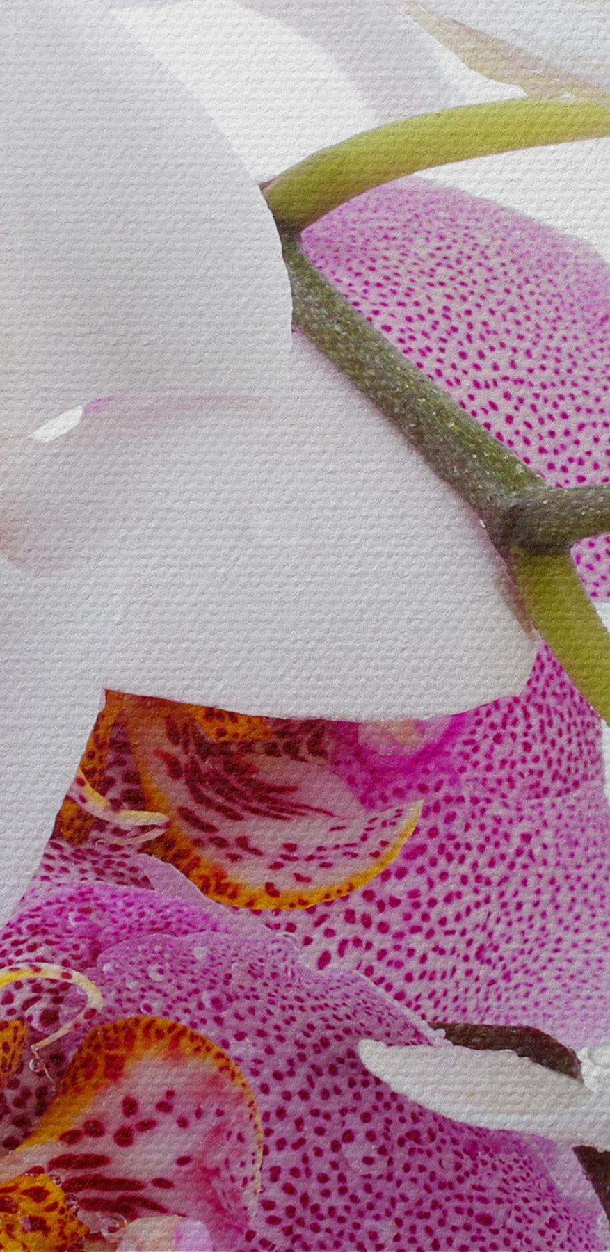 Een close-up van bloemen