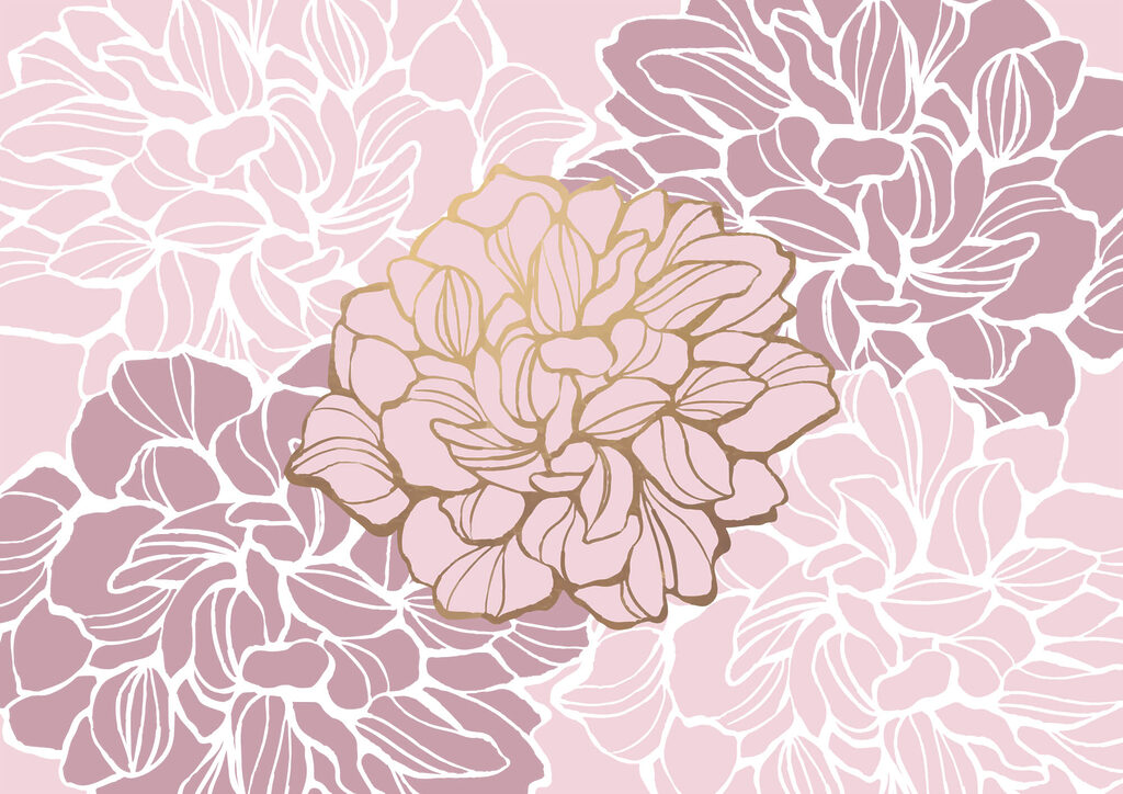 Roze en witte bloem Roze en witte bloem