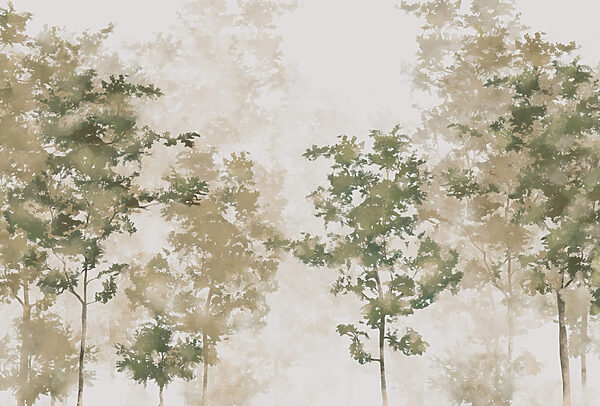 Groep bomen met mist Groep bomen met mist