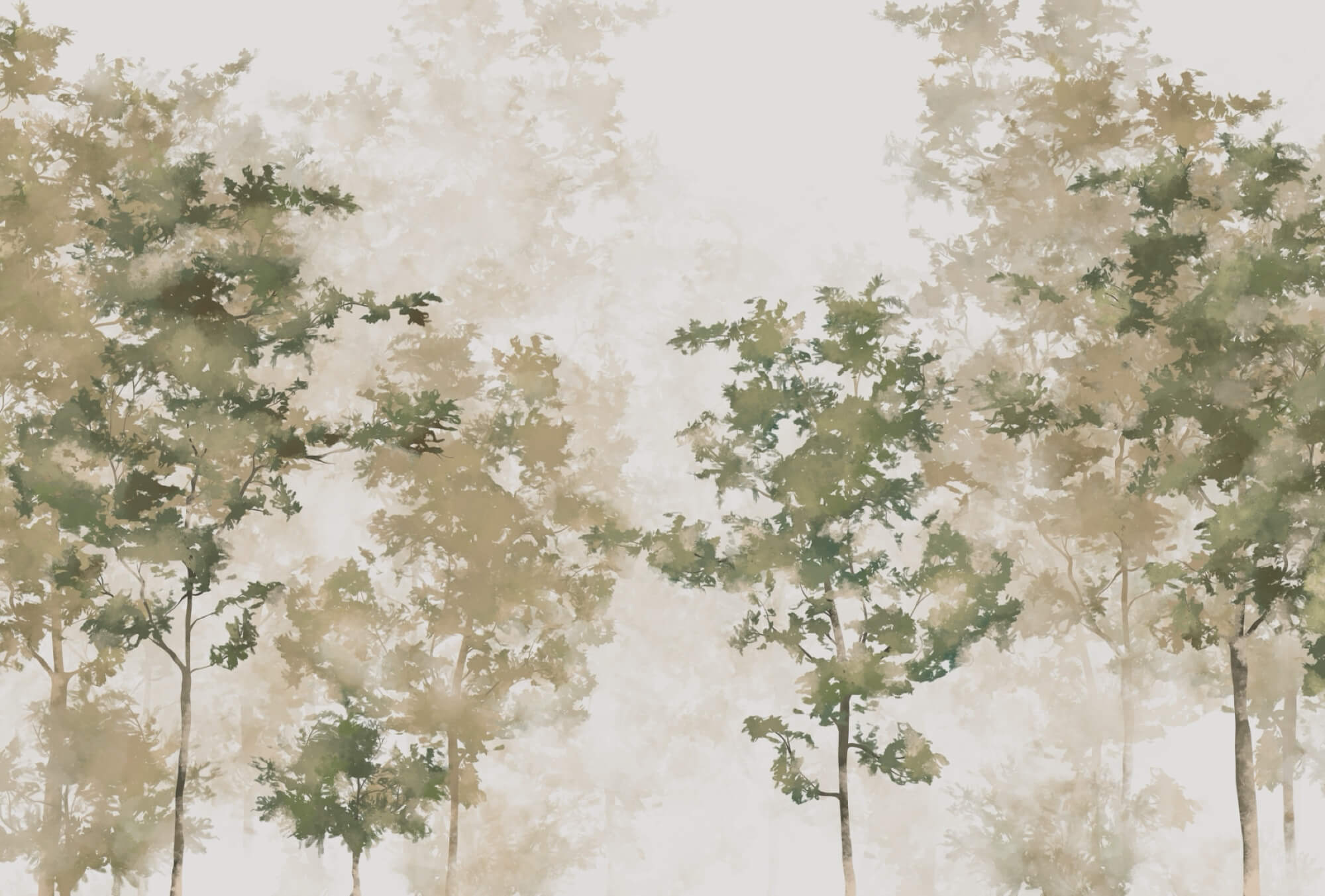 t00008p - Groep bomen met mist - tegory