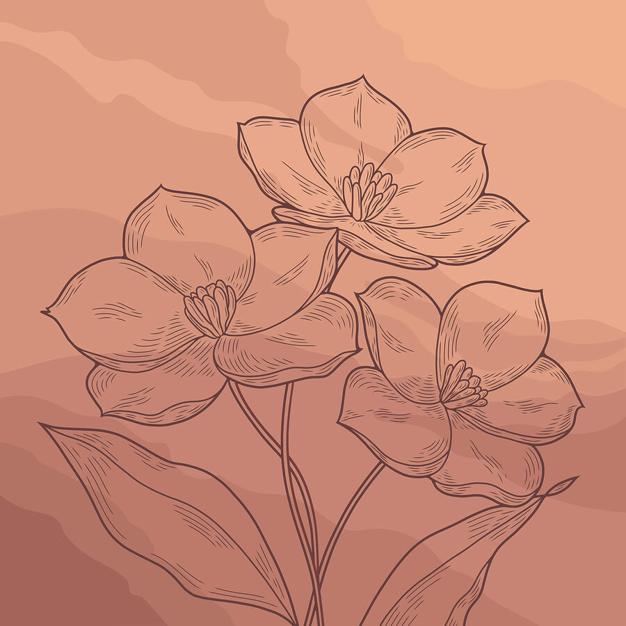 Tekening van bloemen op een roze achtergrond Tekening van bloemen op een roze achtergrond
