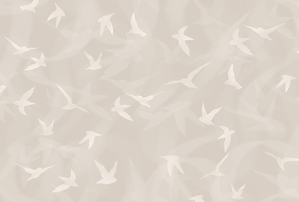 Witte vogels vliegen in de lucht Witte vogels vliegen in de lucht