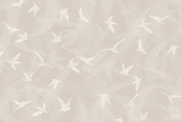 Witte vogels vliegen in de lucht Witte vogels vliegen in de lucht