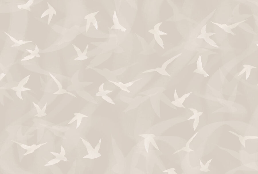 Witte vogels vliegen in de lucht Witte vogels vliegen in de lucht