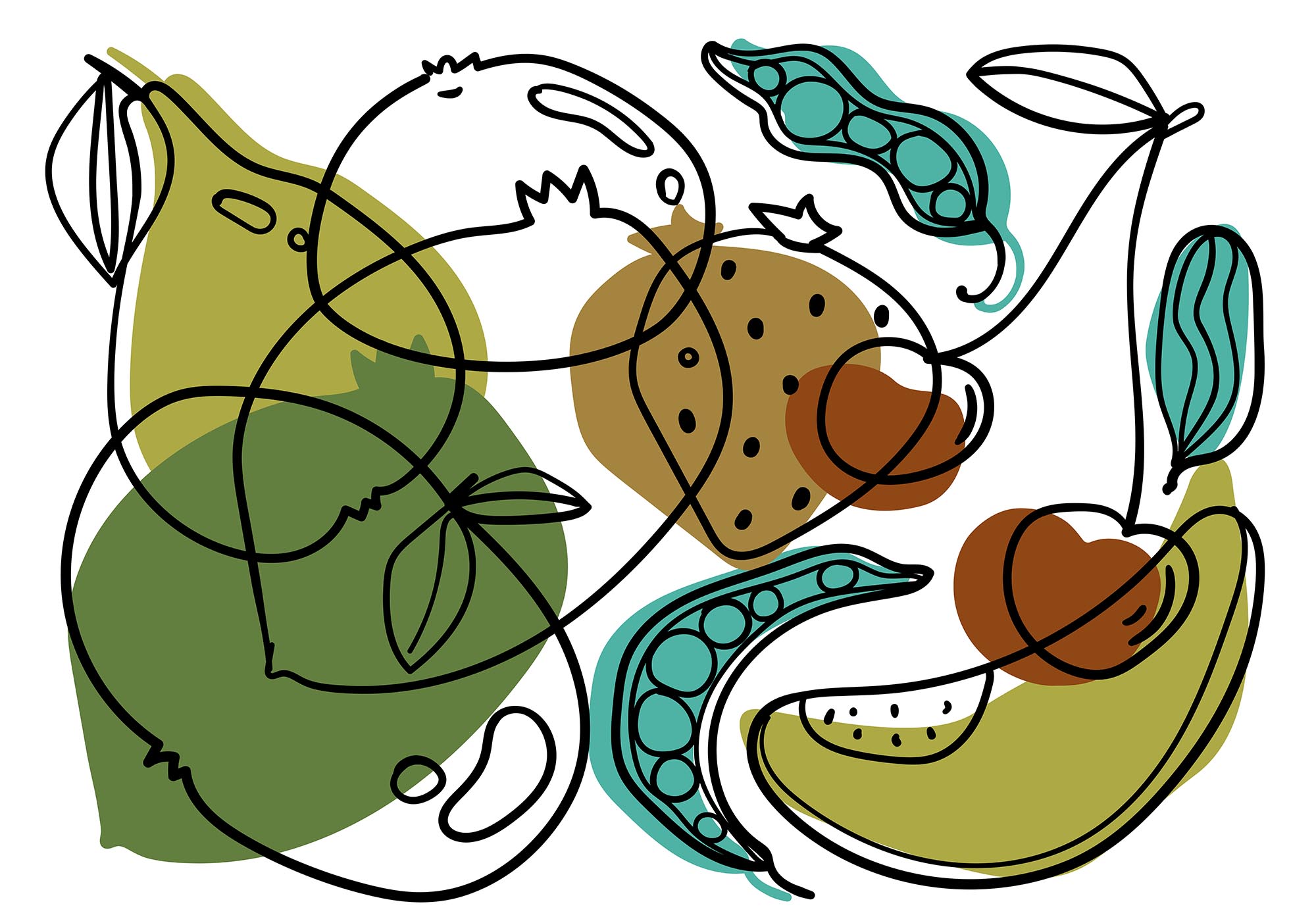 Drawing of different fruits Drawing of different fruits