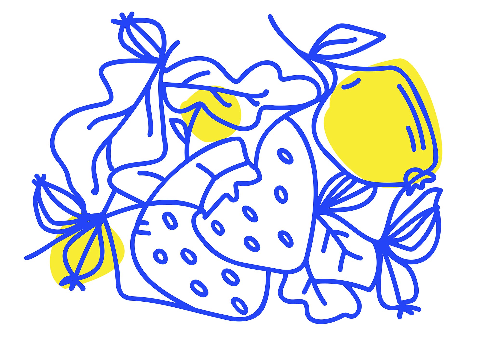 Drawing of fruits and leaves